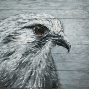 Sense Canvas Hawk Monochrome Raptor Form 118 Canvas Art - Home Decor Wall Art Print Poster Painting Medium 30x12 / 1.5"
