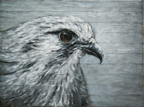 Sense Canvas Hawk Monochrome Raptor Form 118 Canvas Art - Home Decor Wall Art Print Poster Painting Medium 30x12 / 1.5"