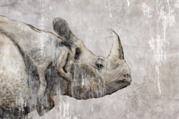 Nursery Art - Baby Rhino Safari Animal Prints - Jungle Nursery Wall Decor